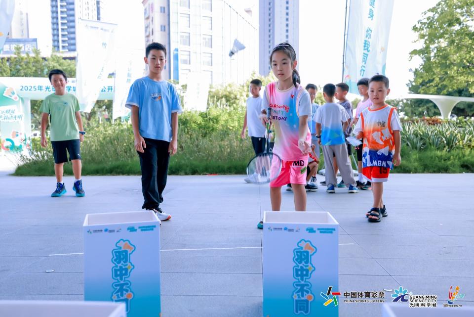 顶岭, 公开组冠军, 局主办的 顶岭, 公开组冠军, 局主办的